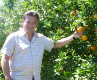 david_costa_arbol