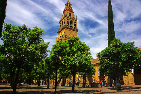 el patio de los naranjos Cordoba